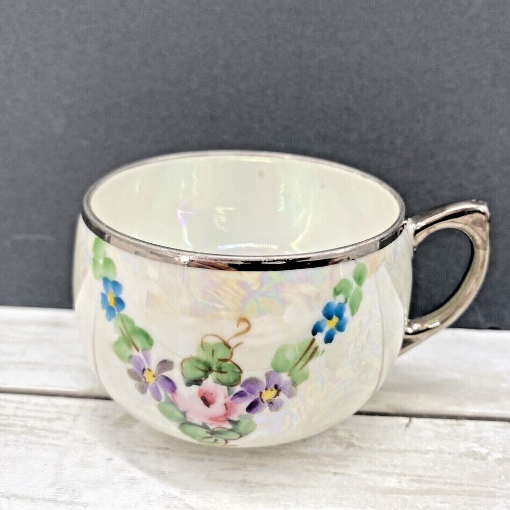 Vintage B And D Hand Painted Flowers Design Iridescent Silver Trimmed Teacup